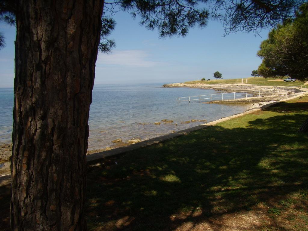 Apartments Sv. Pelegrin Umag Eksteriør billede